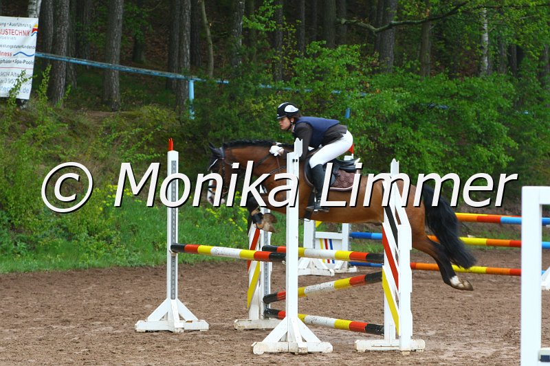 005L4785_Darlington_Spring  Ax.JPG